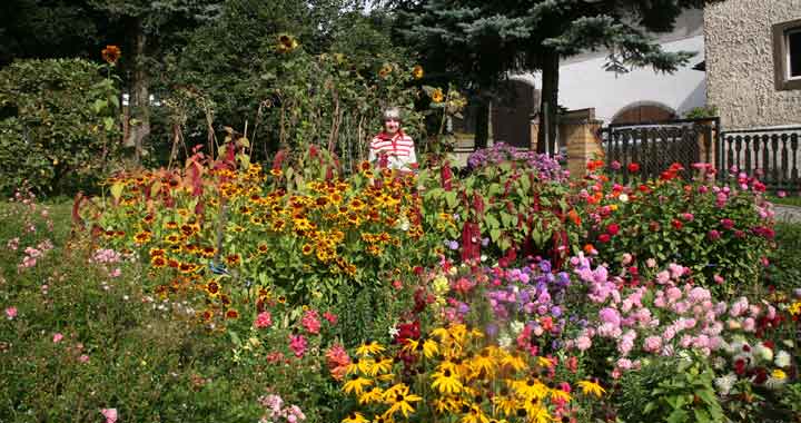 Pension Böhmer - Lauterbach